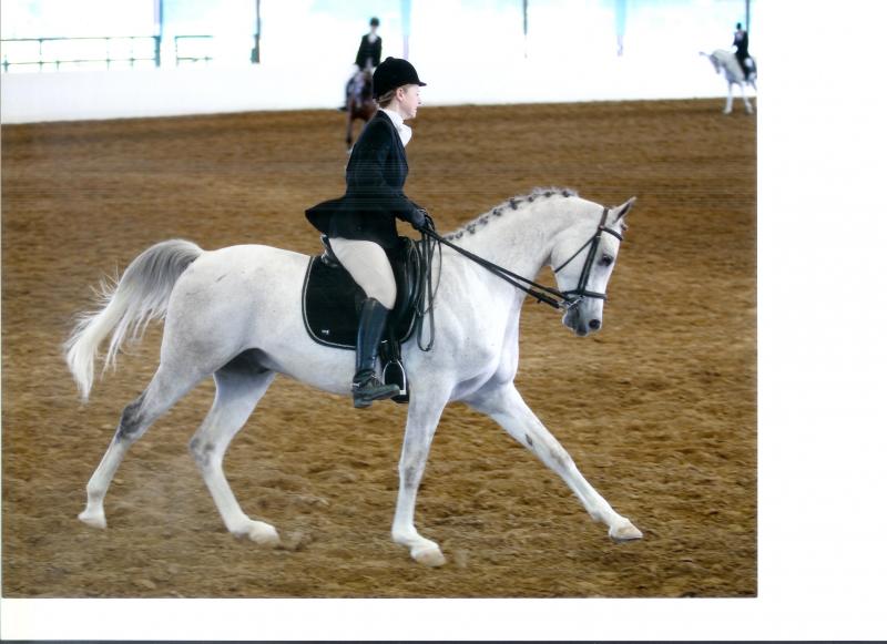 SilverGent