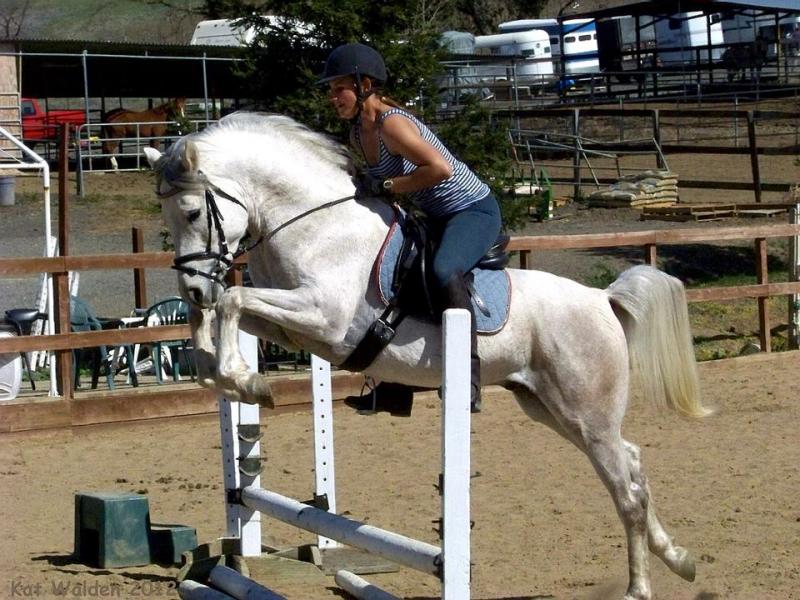 ticojump